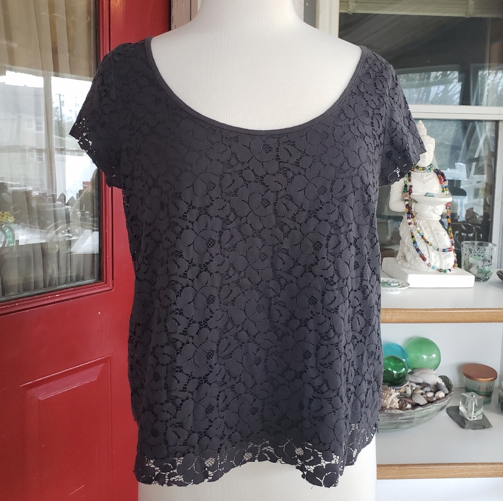 American Eagle Lace Cropped Blouse Size L